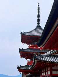 京都-大阪之行