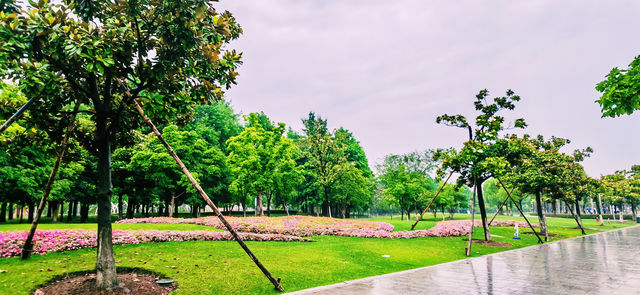 閔行文化公園｜梅雨瀟瀟瀝瀝，公園鬱鬱蔥蔥