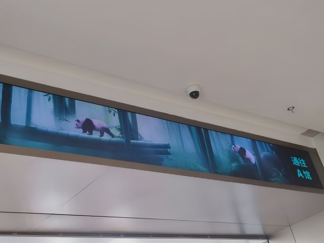 來南京城北萬象匯Rua 一下Panda大熊貓