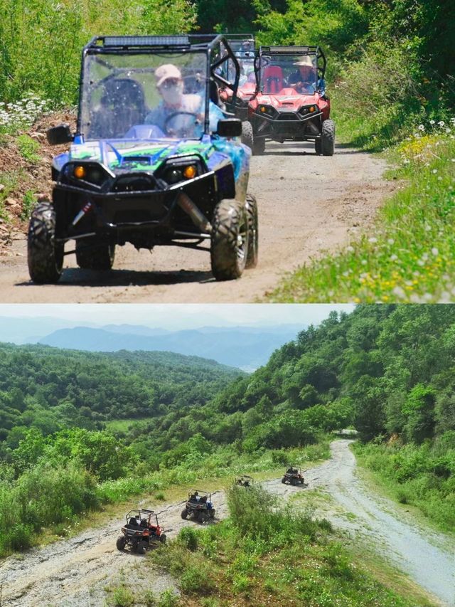 秦嶺深處山野秘境樂園！藏著一整個19°夏天