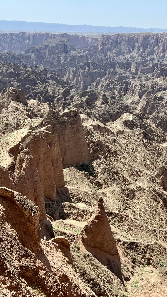黃河石林