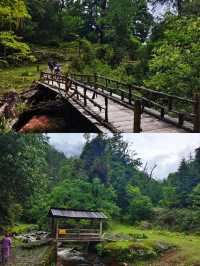 秘境怒江 羅古箐24km徒玩帶耍