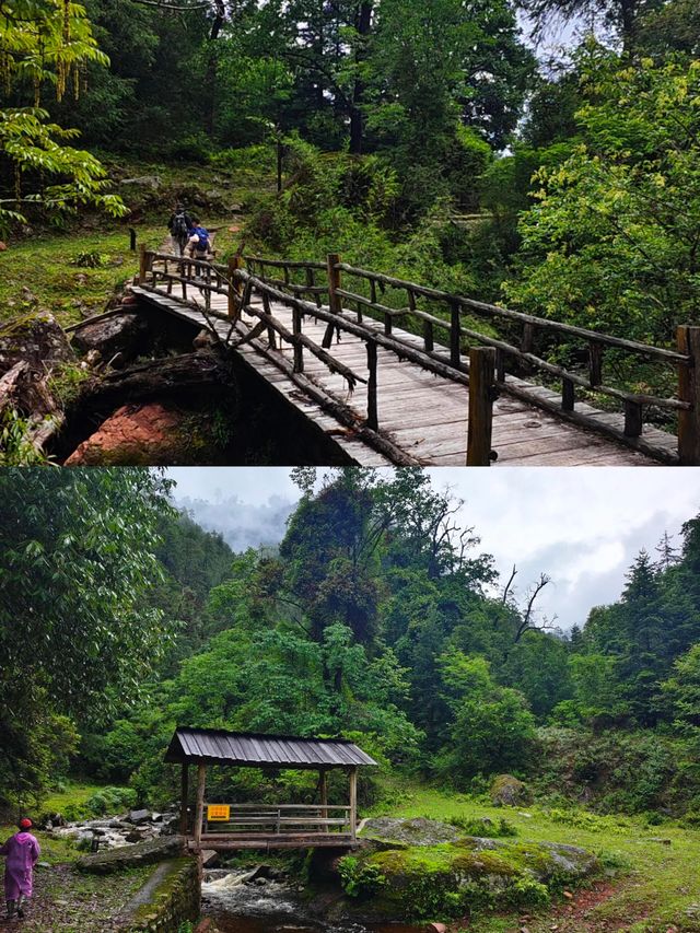 秘境怒江 羅古箐24km徒玩帶耍