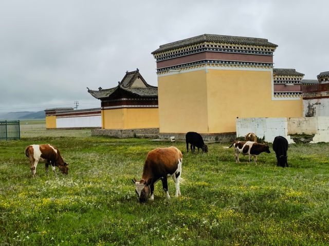 甘南阿萬倉娘瑪寺