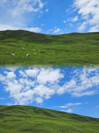 Bamboo Valley丨Known as Gansu's Xinjiang Altay