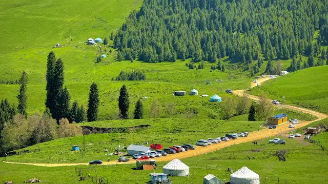 차시 숲 공원 소개