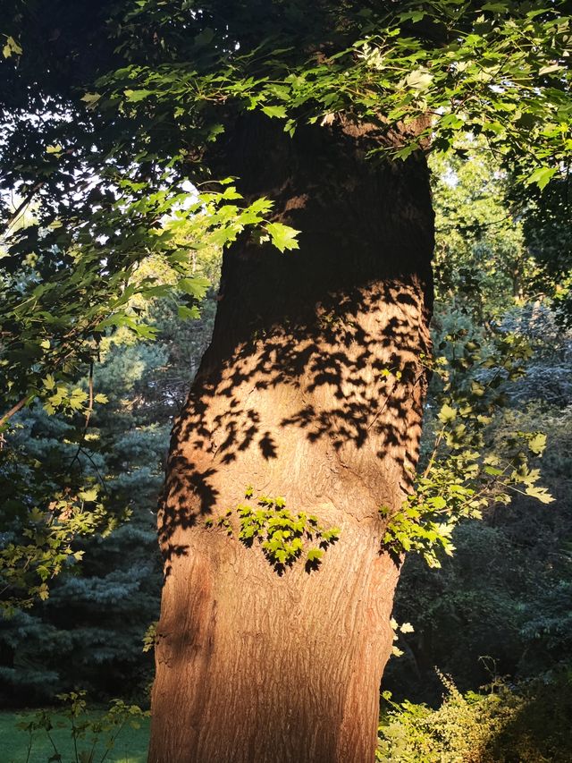 紐約中央公園