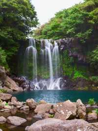 🌴 Jeju's Hidden Gem: Booyoung Hotel & Resort 🏖️