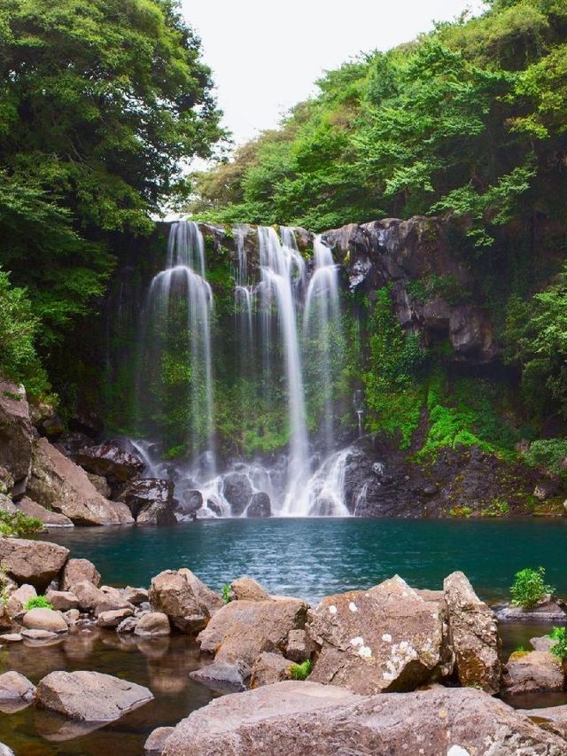 🌴 Jeju's Hidden Gem: Booyoung Hotel & Resort 🏖️