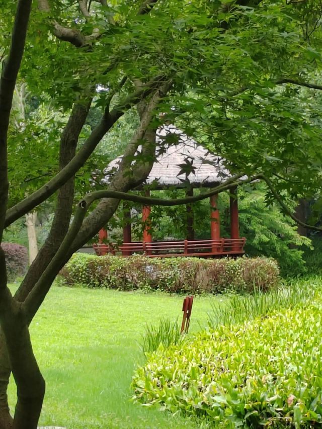 上海青年旅舍森林公園 | 城市中的綠野仙境。 上海青年旅舍森林公園 | 城市中的綠野仙境。