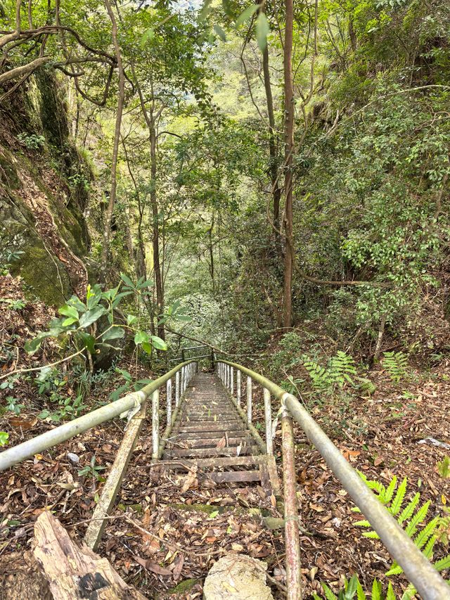 鴛鴦溪國家級風景名勝區位於屏南縣東北部,距離縣城30公里,處於屏南、周寧、政和三縣交界。總面積78.8平方公里。