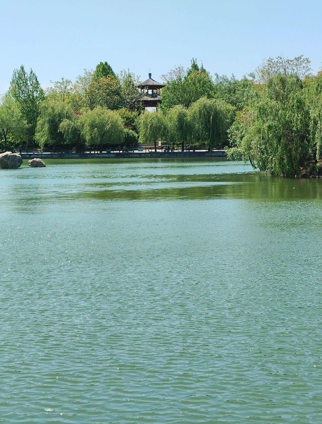 水天一色，畫中遊：泰安南湖公園，都市綠洲的詩情畫意。