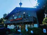 西雅圖自然之旅｜探索伊薩誇的「Jakob Two Tree」。