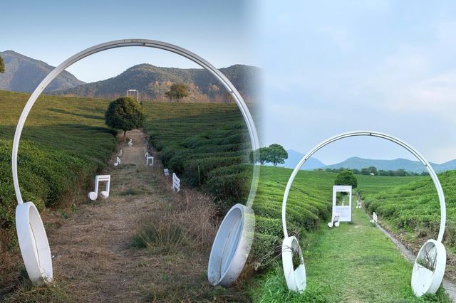 紹興·山林茶園中的民宿。