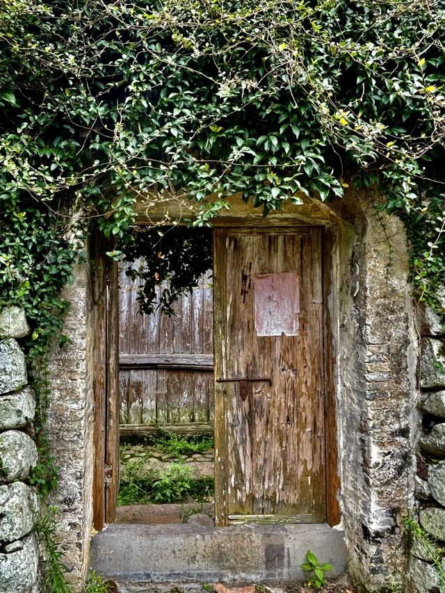 漂亮得讓我感動的浙江農村。 漂亮得讓我感動的浙江農村。