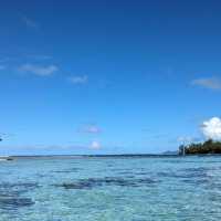 「天涯海角覓仙蹤」—— 大溪地：遺落凡間的珍珠夢境 。