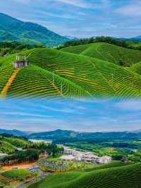 週末來這裡，與孩子度過星空下的親子時光。