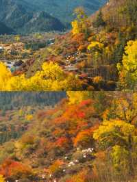 這裡不是新疆，而是祁連山獨有的美麗風景！