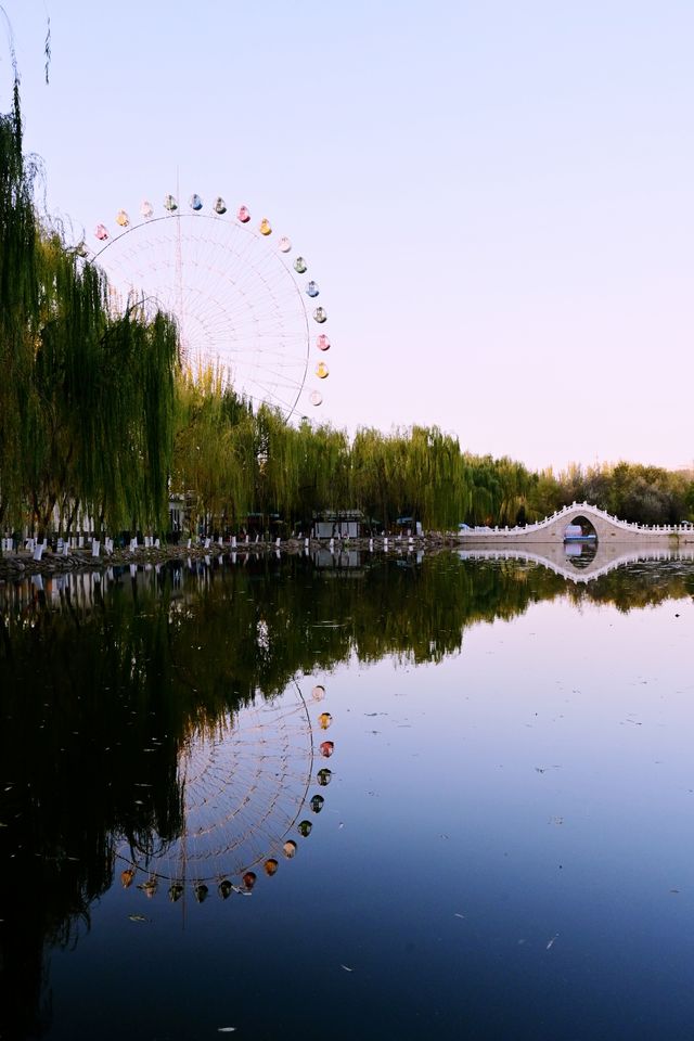 在銀川，去中山公園拾個秋天。