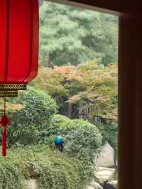 西安這家酒店居然在院子裡養孔雀？？？。