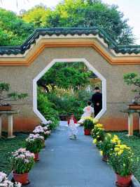 速看！中山公園菊花展遊玩攻略。