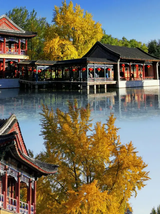 《秋夢紅樓，漫步大觀園》。