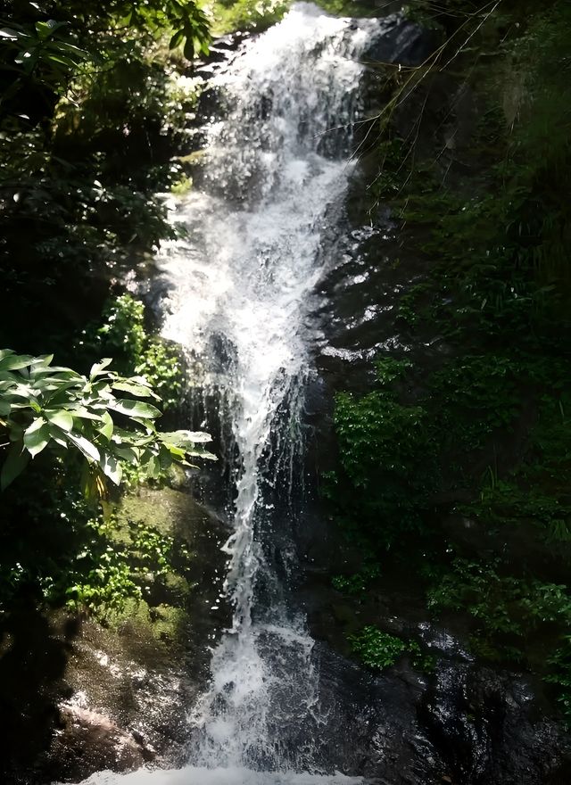 這麼漂亮的山有沒有人想去呢。。