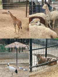 《佛山中山公園，休閒與文化的樂園》。