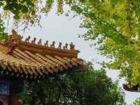 戲馬台。