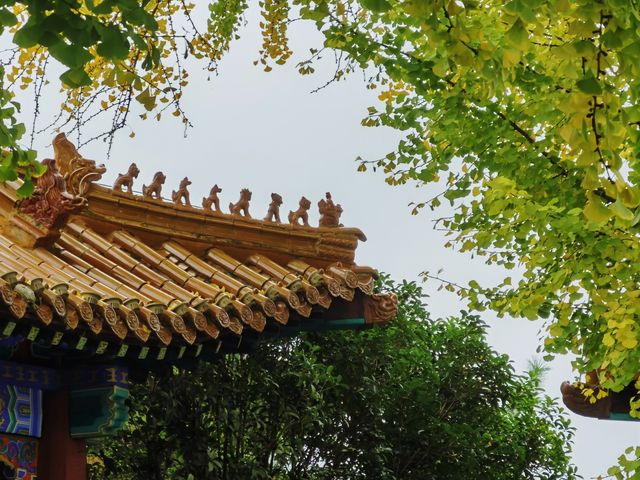 戲馬台。
