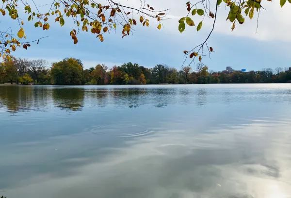 Escape the Hustle and Embrace the Serenity of the World!