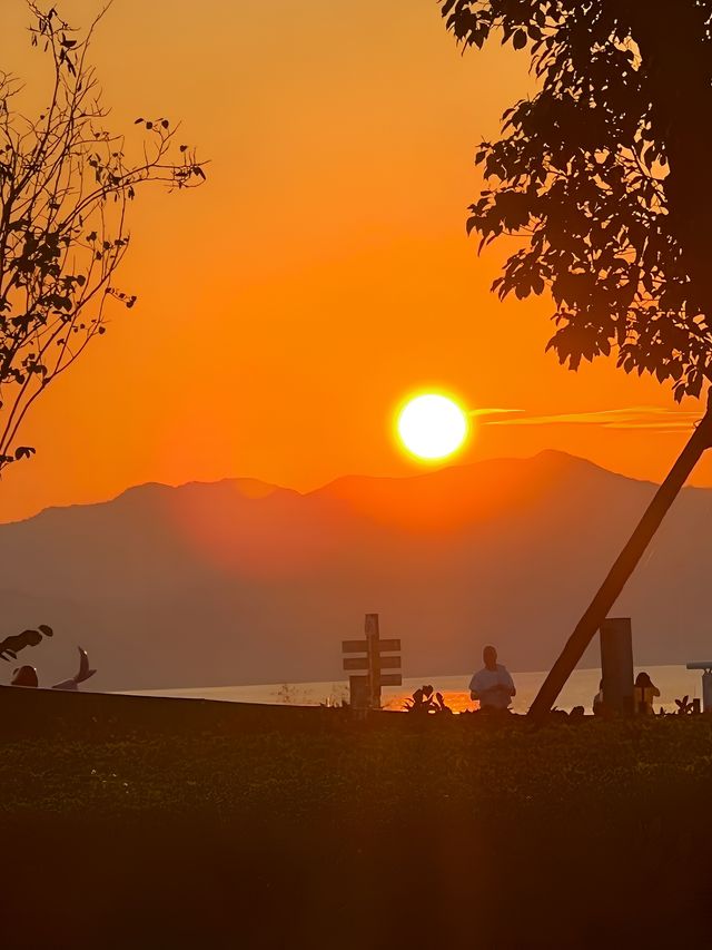 太平湖旅遊。
