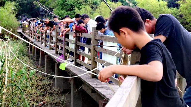 上海小九寨溝~~吳淞炮台灣國家濕地公園。