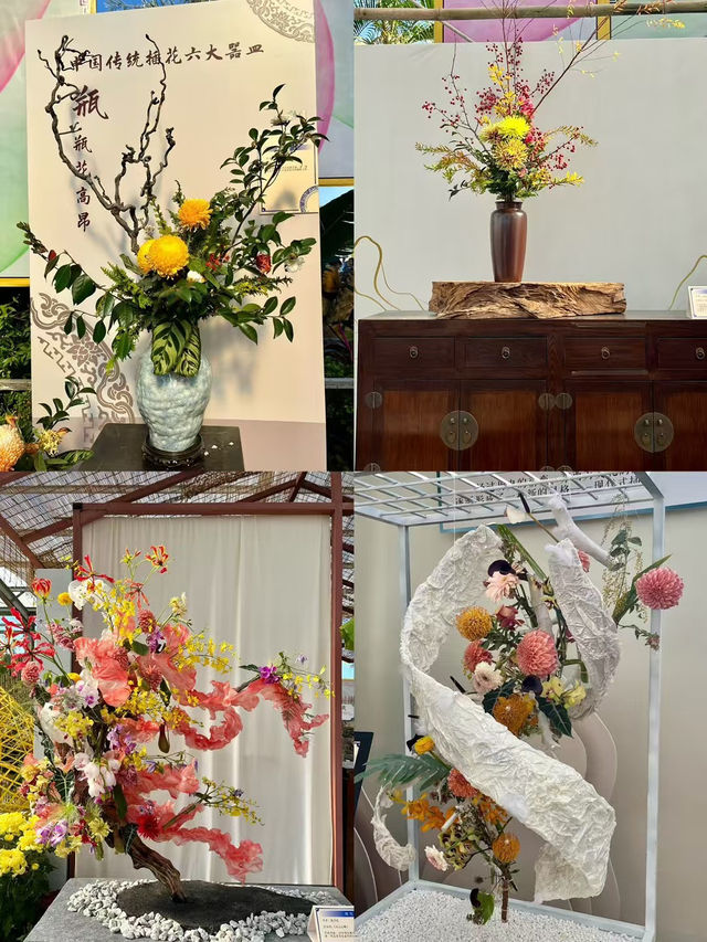 2024中山小欖菊花展：秋日里的絢爛盛宴