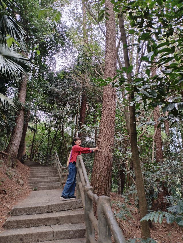 廣西桂平：登上西山之巅，激活快樂的多巴胺。