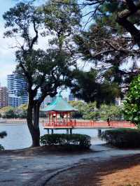 景色優美大濠公園全攻略🥰超級吸引❤️