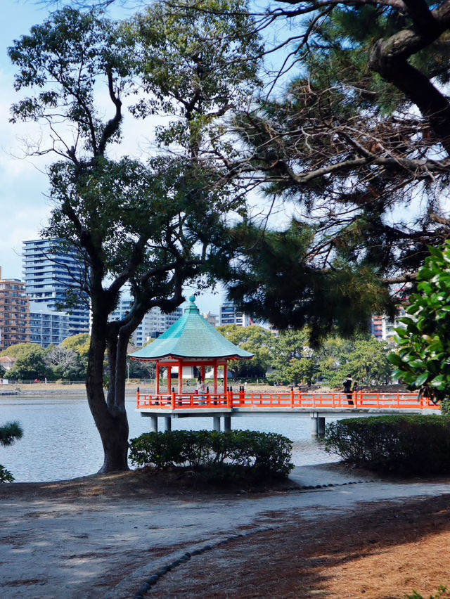 景色優美大濠公園全攻略🥰超級吸引❤️