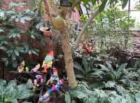 芝加哥林肯公園溫室植物園：自然的魅力之旅