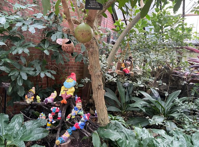 芝加哥林肯公園溫室植物園：自然的魅力之旅