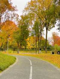 成都單車之旅，我願稱之為最美綠道公園
