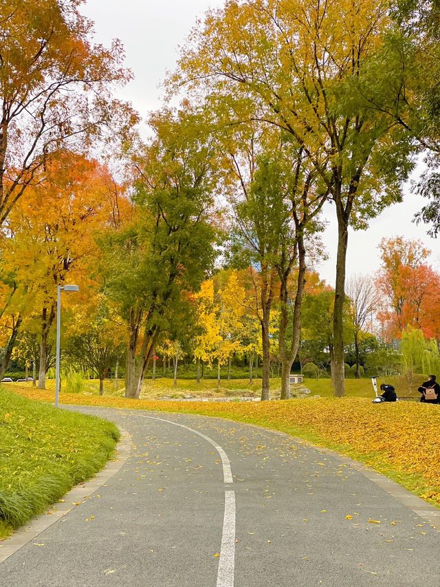 成都單車之旅，我願稱之為最美綠道公園