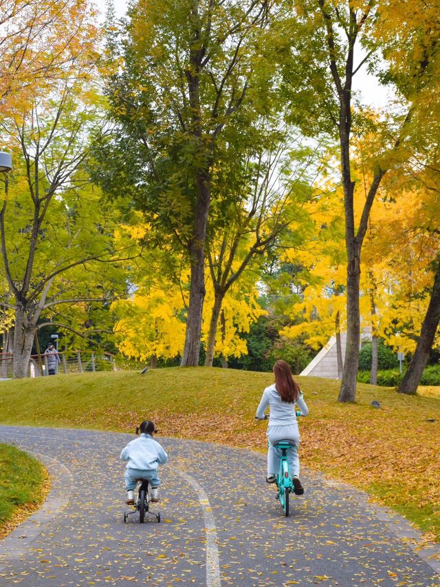 成都單車之旅，我願稱之為最美綠道公園