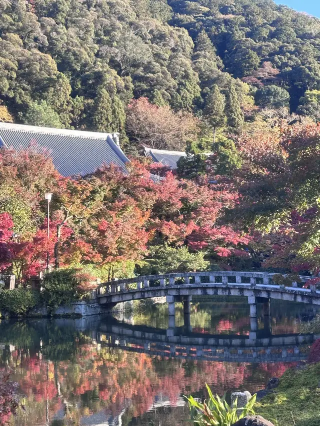 East China 5 Cities + Wuzhen Winter Tour: Picturesque Scenery You Can't Miss