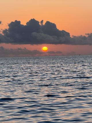 Visa-free Maldives Lily Island guide is here! Save it now!