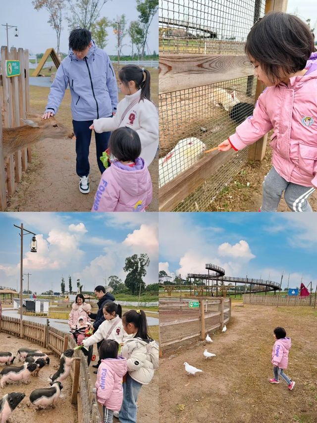 成都遛娃｜周末帶娃住進歡樂橙堡！玩得不想走！