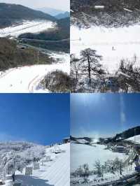 雲上草原滑雪秘笈：老手的三年實戰心得