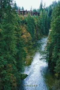 Explore the Famous Capilano Suspension Bridge in Vancouver, Canada