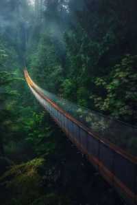 Explore the Iconic Capilano Suspension Bridge Park in Vancouver