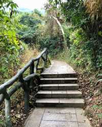 深圳登山——梧桐山（十八）