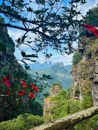 廣西貴港北帝山|小張家界